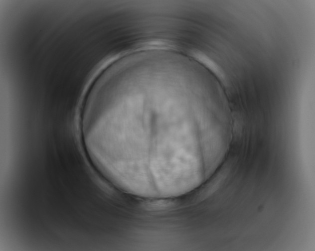 X0000092071474200710031109