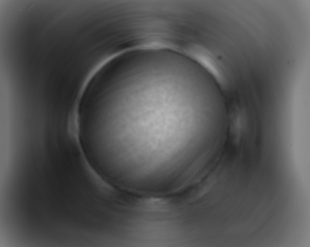 X0000092071476200710031109