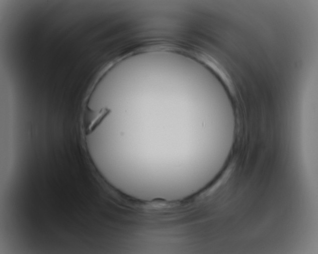 X0000092071481200710031109