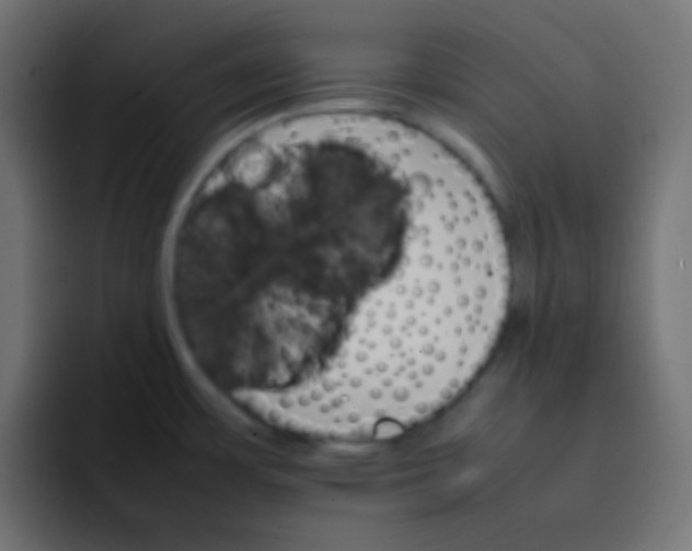 X0000092071483200710031109