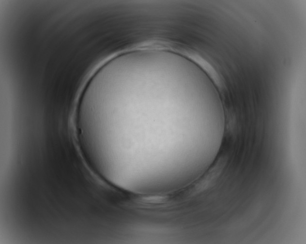 X0000092071486200710031109