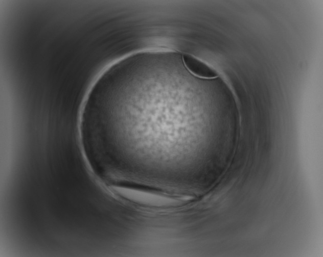 X0000092071488200710031109