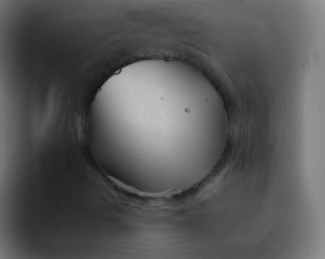 X0000092071490200710031109