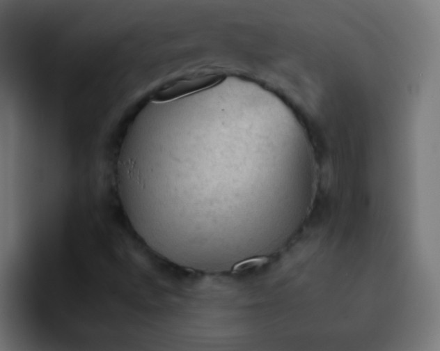 X0000092071496200710031109