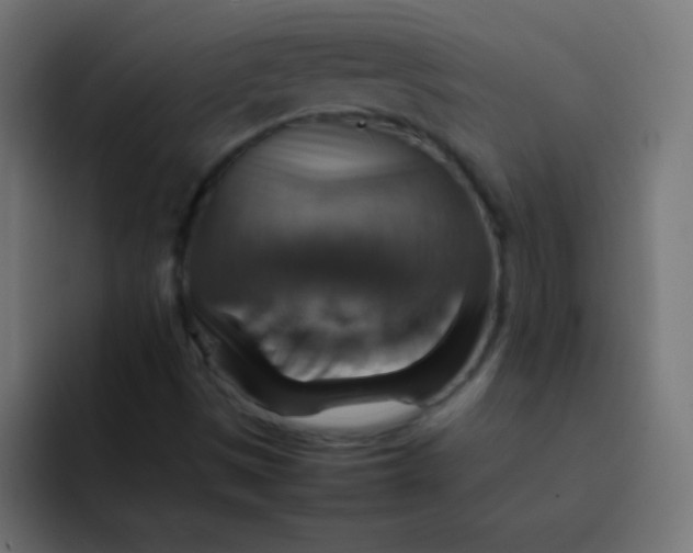 X0000092071497200710031109