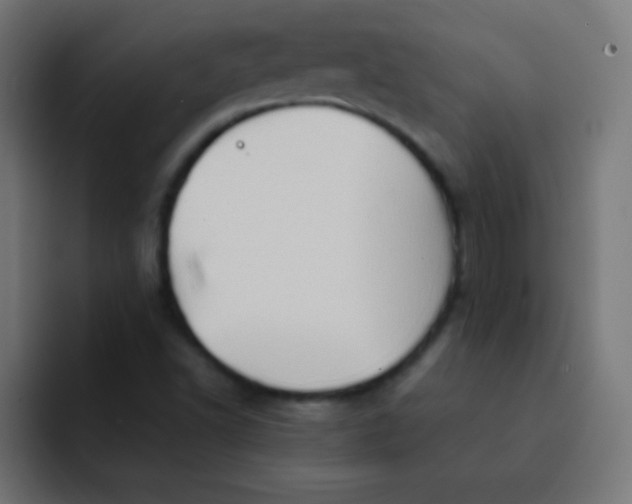 X0000092071502200710031109
