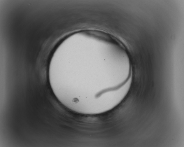 X0000092071503200710031109