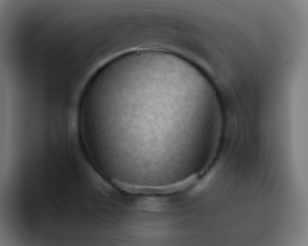 X0000092071506200710031109