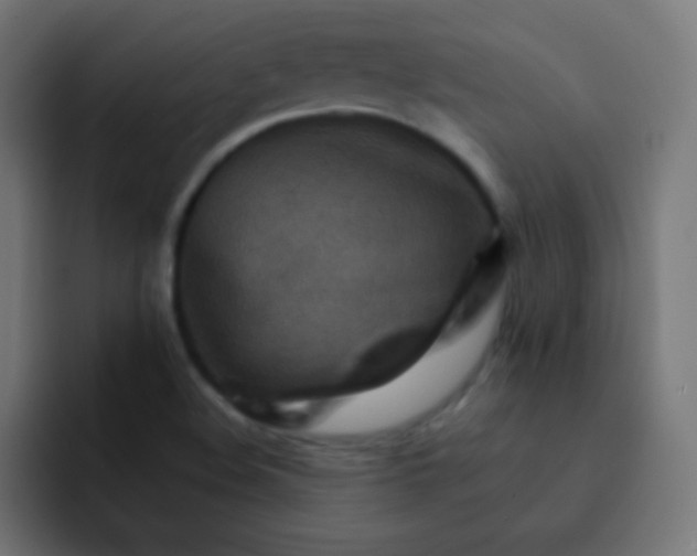 X0000092071508200710031109