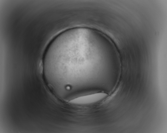 X0000092071509200710031109