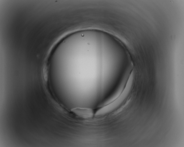 X0000092071510200710031109