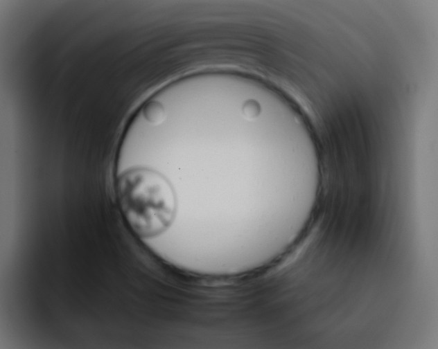 X0000092071513200710031109