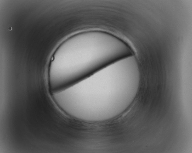 X0000092071516200710031109