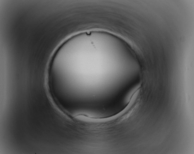 X0000092071518200710031109
