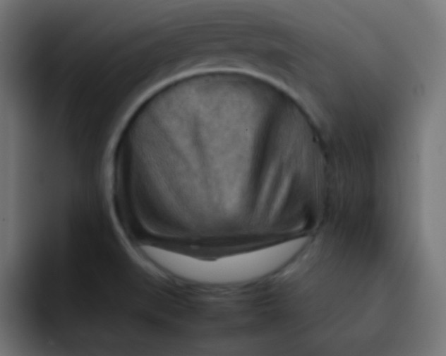 X0000092071519200710031109