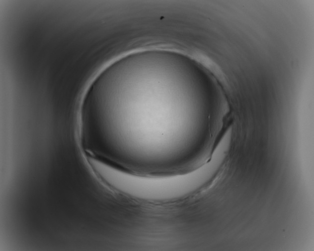 X0000092071520200710031109