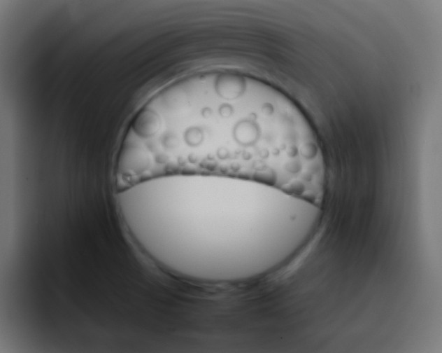X0000092071521200710031109