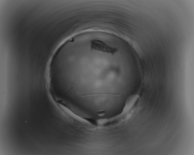 X0000092071522200710031109