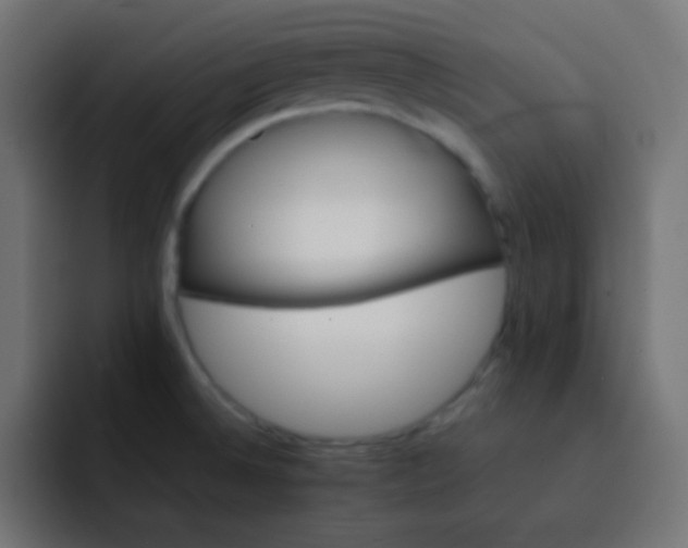X0000092071524200710031109