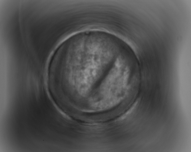 X0000092071525200710031109