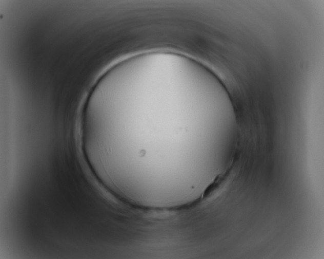 X0000092071526200710031109