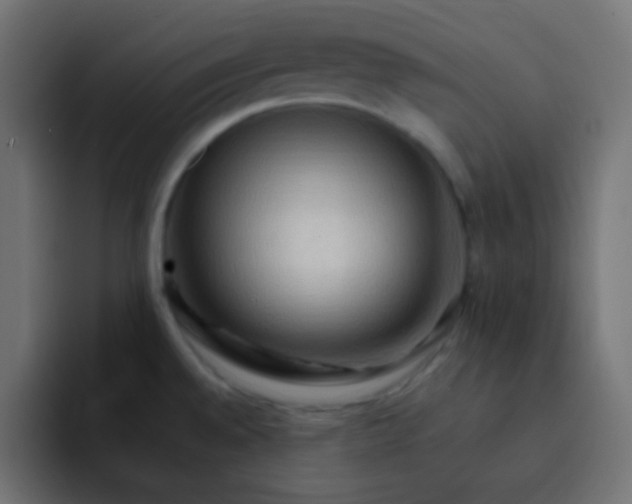 X0000092071528200710031109