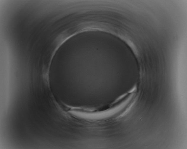X0000092071529200710031109
