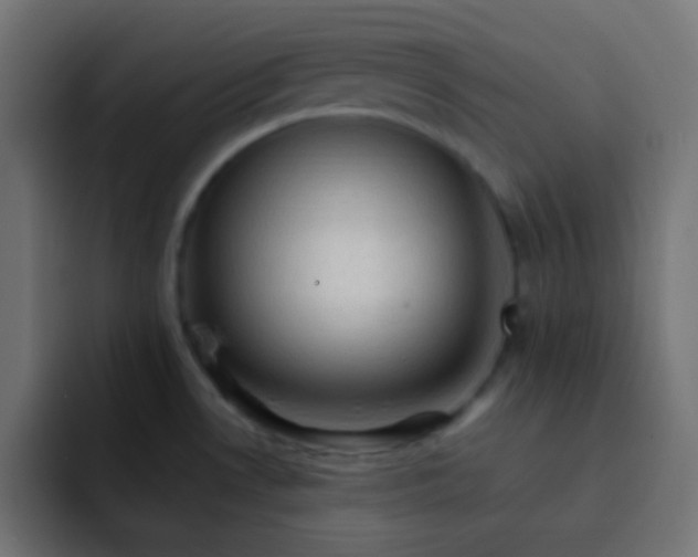 X0000092071530200710031109