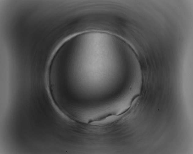X0000092071531200710031109