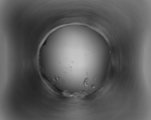 X0000092071532200710031109