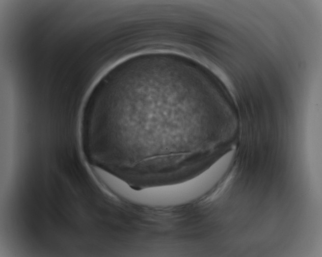 X0000092071533200710031109