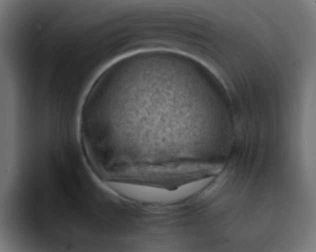 X0000092071535200710031109