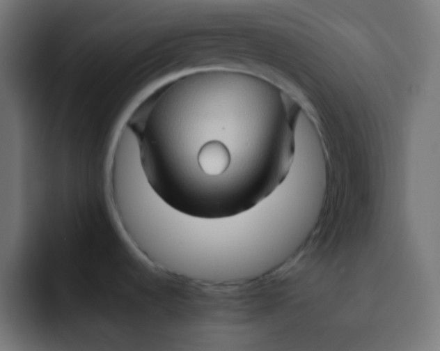 X0000092071536200710031109