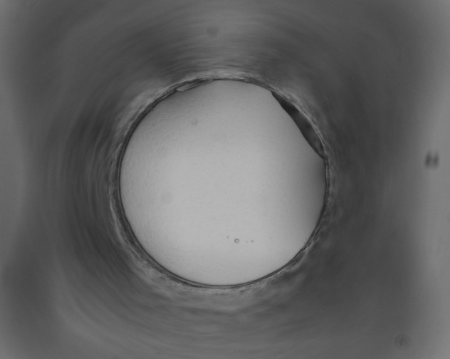 X0000092070001200710101029