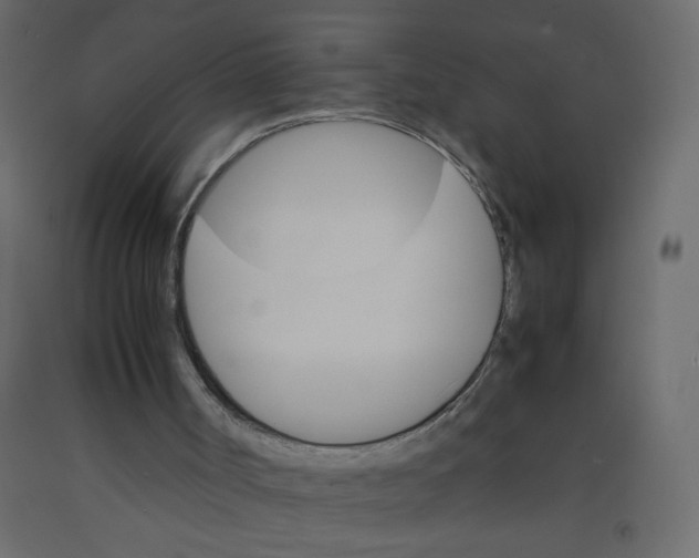X0000092070002200710101029
