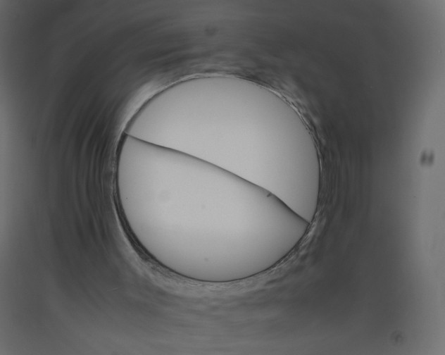 X0000092070003200710101029