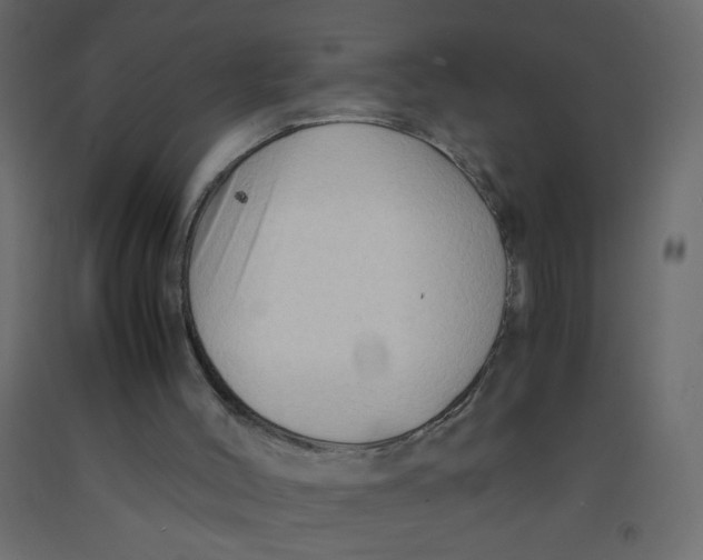 X0000092070004200710101029
