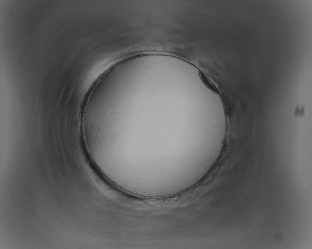 X0000092070005200710101029