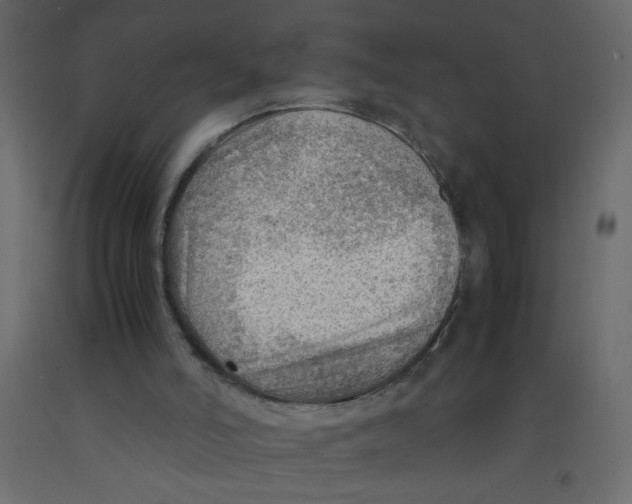 X0000092070006200710101029