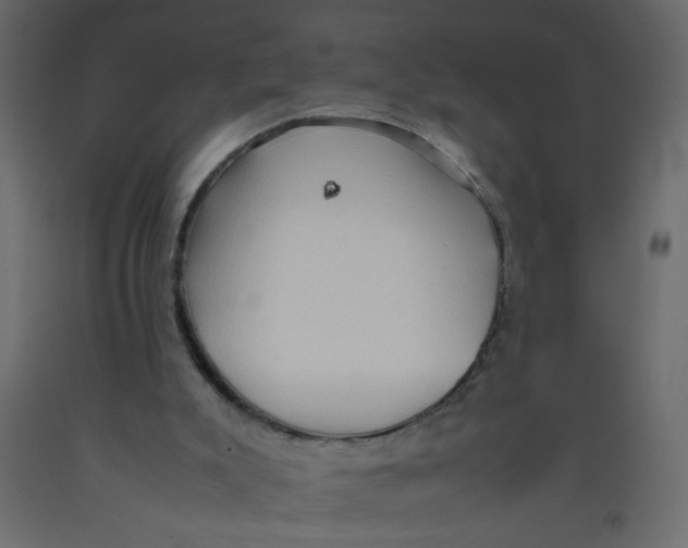 X0000092070007200710101029