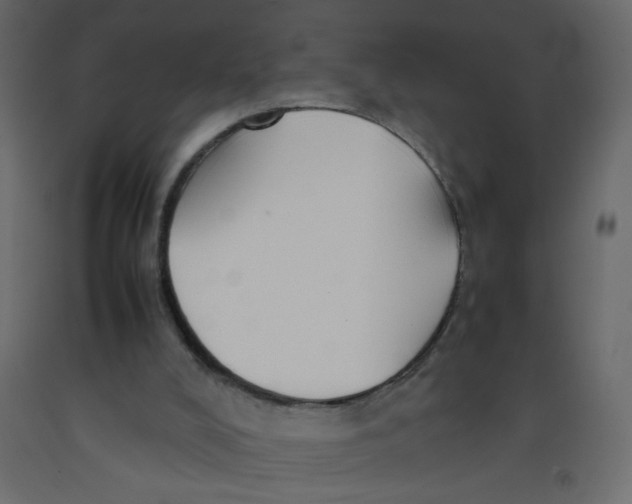 X0000092070008200710101029