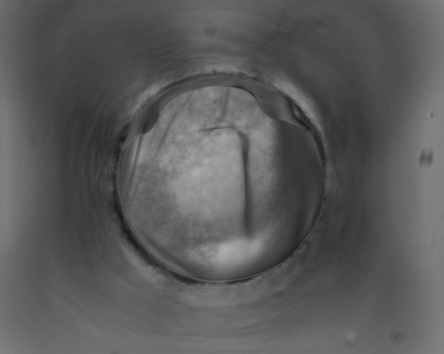 X0000092070009200710101029