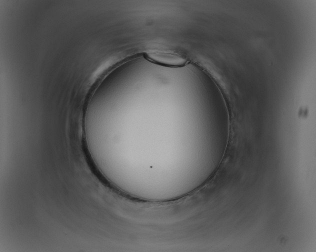 X0000092070011200710101029