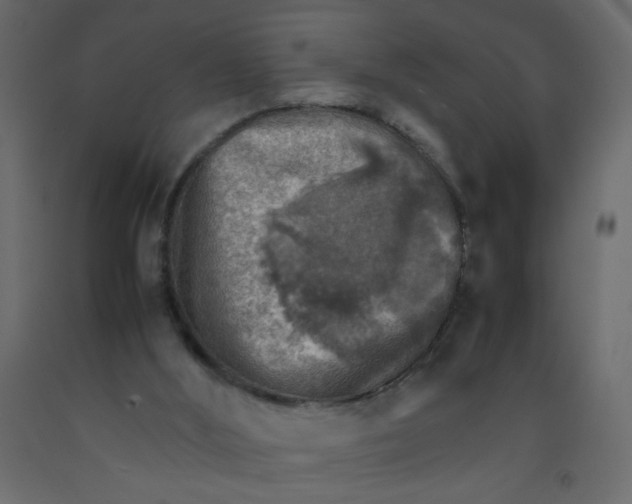 X0000092070012200710101029