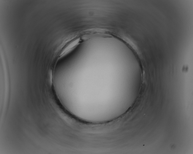 X0000092070013200710101029