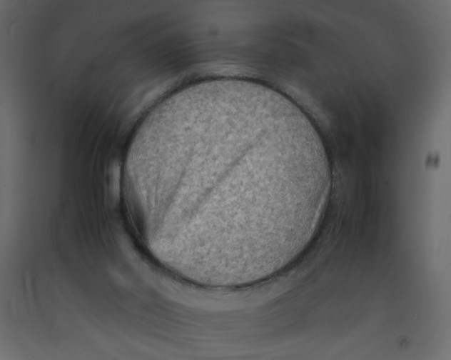 X0000092070014200710101029