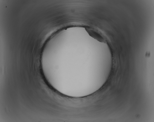 X0000092070015200710101029