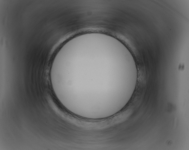 X0000092070016200710101029