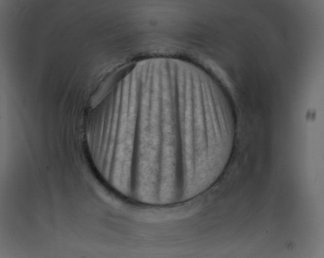 X0000092070017200710101029
