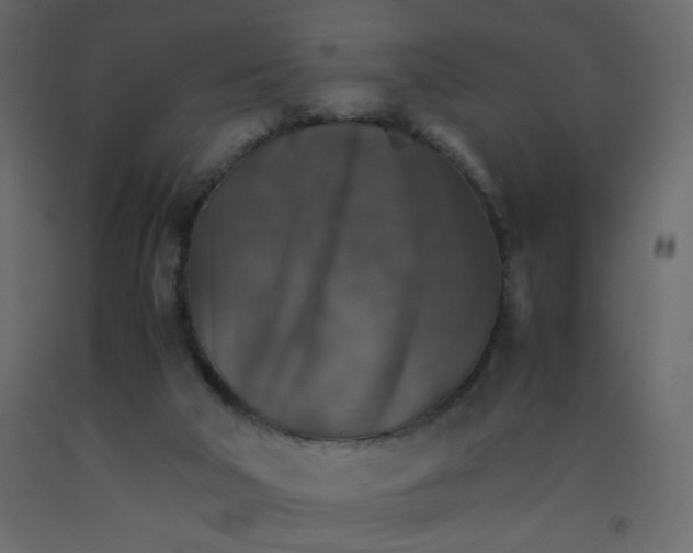 X0000092070018200710101029
